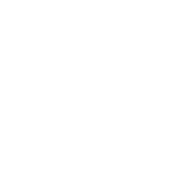 Seam & Stitch